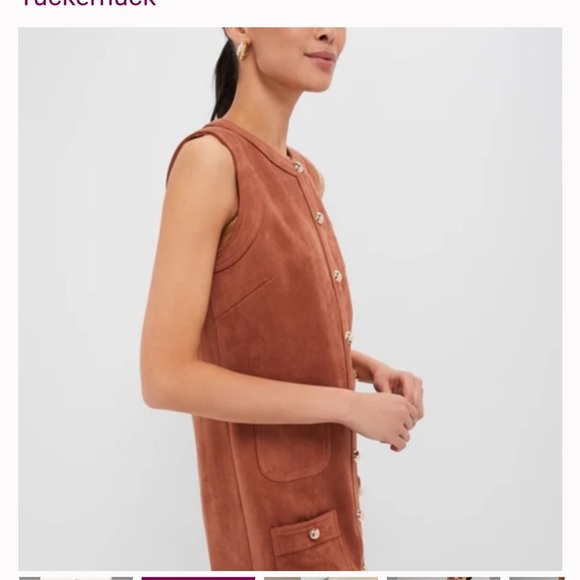 Tuckernuck Cognac Suede Ollie Dress XS Mocha Brown NWT - Picture 2 of 9